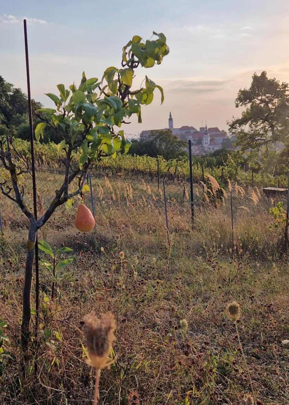 Pod Vinici Hotell Mikulov Exteriör bild